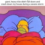 The giant, heavy tree | How I sleep knowing that the giant, heavy tree didn't fall down and crash down my house during a severe storm: | image tagged in homer simpson sleeping peacefully,tree,memes,blank white template,storm,severe storm | made w/ Imgflip meme maker