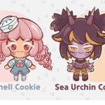 Sea Shell And Sea Urchin Cookies Fanchild