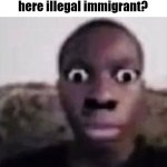 What Are You Doing Here Illegal Immigrant