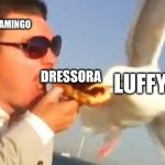 What basically happened | DOFLAMINGO; DRESSORA; LUFFY | image tagged in swiping seagull | made w/ Imgflip meme maker