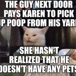 Salad cat | THE GUY NEXT DOOR PAYS KAREN TO PICK UP POOP FROM HIS YARD. SHE HASN'T REALIZED THAT HE DOESN'T HAVE ANY PETS. | image tagged in salad cat | made w/ Imgflip meme maker