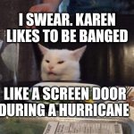Salad cat | I SWEAR. KAREN LIKES TO BE BANGED; LIKE A SCREEN DOOR DURING A HURRICANE | image tagged in salad cat | made w/ Imgflip meme maker
