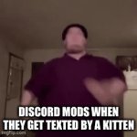 tell me wrong | DISCORD MODS WHEN THEY GET TEXTED BY A KITTEN | image tagged in gifs,memes | made w/ Imgflip video-to-gif maker