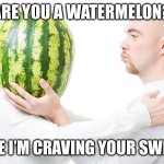 Pickup lines: Are you a watermelon? | ARE YOU A WATERMELON? BECAUSE I’M CRAVING YOUR SWEETNESS | image tagged in watermelon love,watermelon,pick up lines,pickup lines,love,romance | made w/ Imgflip meme maker