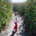 Girl In The Corn