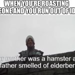 Your mother was a hamster | WHEN YOU’RE ROASTING SOMEONE AND YOU RUN OUT OF IDEAS | image tagged in your mother was a hamster | made w/ Imgflip meme maker