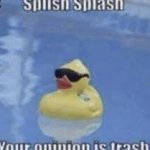 Your opinion is trash