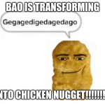 chicken nuggest gegagedigedadago | BAO IS TRANSFORMING; INTO CHICKEN NUGGET!!!!!!!!! | image tagged in chicken nuggest gegagedigedadago | made w/ Imgflip meme maker