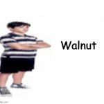 Greg Heffley | Walnut | image tagged in greg heffley | made w/ Imgflip meme maker
