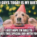 If you’re wondering, no I’m not begging for upvotes | HELLO GUYS TODAY IS MY BIRTHDAY; I JUST HOPE I’M ABLE TO CELEBRATE THIS SPECIAL DAY WITH YOU GUYS | image tagged in dog birthday,birthday | made w/ Imgflip meme maker