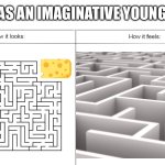 Mazes as an imaginative young child | MAZES AS AN IMAGINATIVE YOUNG CHILD | image tagged in how it looks vs how it feels,mazes,childhood,imagination,kids,children | made w/ Imgflip meme maker