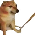 Doge dog with bat