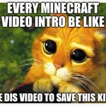 MC intros be like: | EVERY MINECRAFT VIDEO INTRO BE LIKE; LIKE DIS VIDEO TO SAVE THIS KITTY | image tagged in sorry kitty,minecraft,minecraft memes,relatable,relatable memes | made w/ Imgflip meme maker