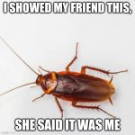 Uhmm | I SHOWED MY FRIEND THIS, SHE SAID IT WAS ME | image tagged in cockroach,bugs,friends | made w/ Imgflip meme maker