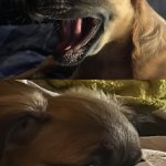 When I, when they