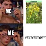✨sneezeweed✨ | ME; ME; ACHOO ACHOO FLOWER | image tagged in spiderman glasses,memes,flowers,sneeze,sneezeweed | made w/ Imgflip meme maker