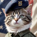 Army Cat