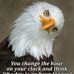 DST dumm | You change the hour on your clock and think "the day is an hour longer" | image tagged in bald eagle tilt | made w/ Imgflip meme maker