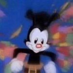 True story | ME WHEN SOMEONE SAYS "NAME 5 COUNTRY SONGS THAT AREN'T ABOUT TRUCKS, WOMEN OR BEER": | image tagged in yakko warner,country music,country,music | made w/ Imgflip meme maker