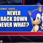 never give up! | NEVER BACK DOWN NEVER WHAT? | image tagged in sonic says | made w/ Imgflip meme maker