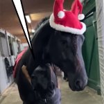 Thanks to Santa Horse