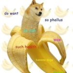 Banana doge