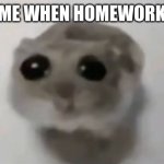 hampter | ME WHEN HOMEWORK | image tagged in sad hamster | made w/ Imgflip meme maker