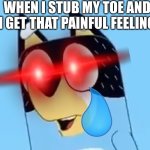 Ahhhhhhhh wohhhhhhhhh it huuuuuurts | WHEN I STUB MY TOE AND I GET THAT PAINFUL FEELING | image tagged in bandit | made w/ Imgflip meme maker