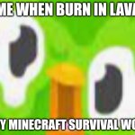 RIP DUO | ME WHEN BURN IN LAVA; IN MY MINECRAFT SURVIVAL WORLD | image tagged in rip duo | made w/ Imgflip meme maker