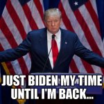 Donald Trump | JUST BIDEN MY TIME
UNTIL I'M BACK... | image tagged in donald trump,lol so funny,too funny | made w/ Imgflip meme maker