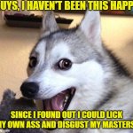 My Ass Dog | GUYS, I HAVEN'T BEEN THIS HAPPY; SINCE I FOUND OUT I COULD LICK MY OWN ASS AND DISGUST MY MASTERS! | image tagged in dog laugh,ass,fun | made w/ Imgflip meme maker