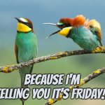 Friday | BECAUSE I'M TELLING YOU IT'S FRIDAY!! | image tagged in friday,yay it's friday,happy friday,weekend,funny meme | made w/ Imgflip meme maker