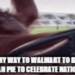 happy national pi day :nerd emoji: | ME ON MY WAY TO WALMART TO BUY A 20 POUND PECAN PIE TO CELEBRATE NATIONAL PIE DAY | image tagged in gifs,pie | made w/ Imgflip video-to-gif maker