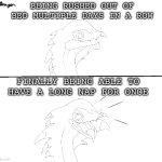 Drew a template. | BEING RUSHED OUT OF BED MULTIPLE DAYS IN A ROW; FINALLY BEING ABLE TO HAVE A LONG NAP FOR ONCE | image tagged in neutral to happy chameleos,monster hunter,finally,i,can,nap | made w/ Imgflip meme maker