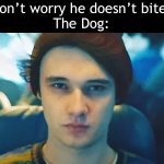 If you know you know | “Don’t worry he doesn’t bite!”
The Dog: | image tagged in wilbur staring into your soul,memes,funny,fun,wilbur soot | made w/ Imgflip meme maker