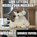 Divorce papers | DIVORCE PAPERS | image tagged in love letters inside your mailbox wrong,divorce papers,memes,divorce,meme,papers | made w/ Imgflip meme maker