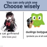 choose carefully. | duolingo bodyguard; (protects you at all costs) | image tagged in choose wisely,duolingo | made w/ Imgflip meme maker