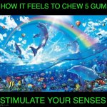 How it feels to chew 5 gum | HOW IT FEELS TO CHEW 5 GUM; STIMULATE YOUR SENSES | image tagged in happy dolphin rainbow,5 gum,parody,gum,how it feels to chew 5 gum,stimulate your senses | made w/ Imgflip meme maker