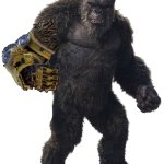 Kong w/ B.E.A.S.T Glove