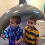 Ian Julian Dolphins meme