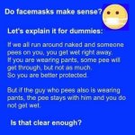 Do facemasks Make Sense?