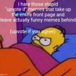 haha irony (laugh or something) | I hate those stupid "upvote if" memes that take up the entire front page and leave actually funny memes behind; (upvote if you agree) | image tagged in memes,irony,why are you reading the tags | made w/ Imgflip meme maker