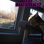 Puss Jean Graves | LET'S MAKE A DEAL?? 🐾NAHHHHH...🐾LIFESGREAT!! | image tagged in puss jean graves | made w/ Imgflip meme maker