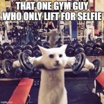 Gym Cat | THAT ONE GYM GUY WHO ONLY LIFT FOR SELFIE | image tagged in gym cat | made w/ Imgflip meme maker