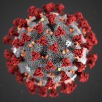 corona virus