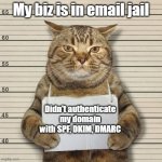 DMARC | My biz is in email jail; Didn't authenticate my domain with SPF, DKIM, DMARC | image tagged in guilty cat mug shot blank | made w/ Imgflip meme maker