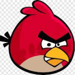 red angry birds