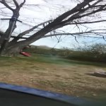 Me on tramp GIF Template