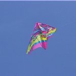 Kite Meme Generator - Imgflip