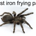 cast iron frying pan | cast iron frying pan | image tagged in tarantula,spider,meme,random,nonsense,cast iron frying pan | made w/ Imgflip meme maker